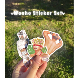 Wonho Sticker Set 