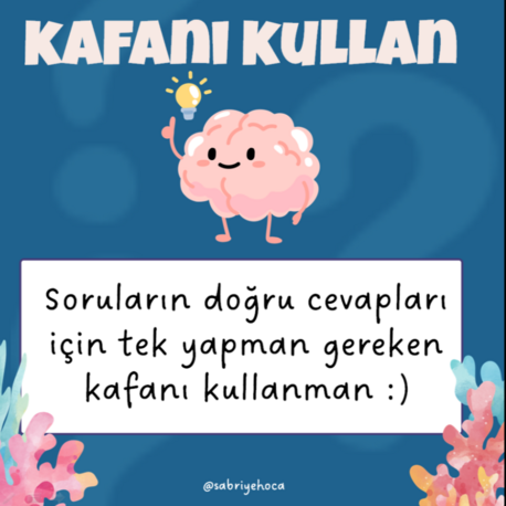 Kafanı Kullan & Üşüten Sorular 2