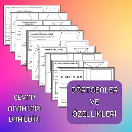 DÖRTGENLER VE ÖZELLİKLERİ/DEFTER ETKİNLİĞİ