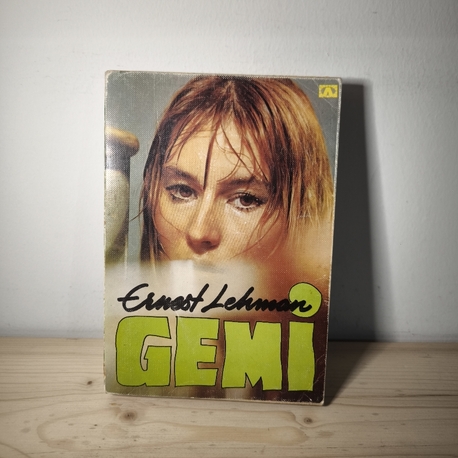 Gemi 