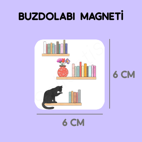 Magnet - bookshelf 