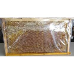 organik yayla balı 3 kg petek 1800 tl 