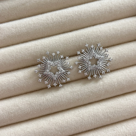 Silver Yıldız Küpe 