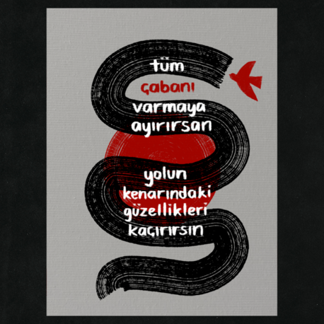 seyir