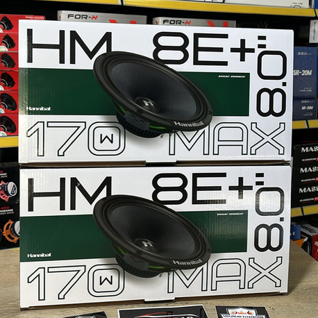 Hannibal HM-8E+ 20 cm Midrange