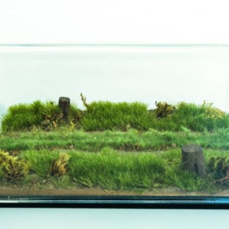 1/43-1/64 Ölçek Diecast Orman Yolu Diorama Zemin ve Case