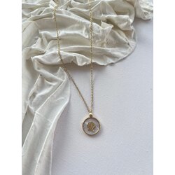Rose Steel Kolye