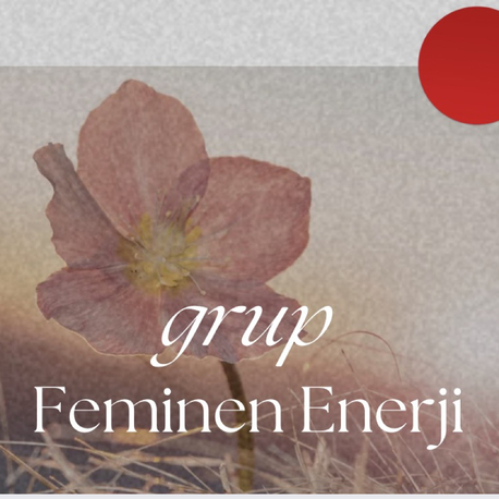 Feminen Enerji
