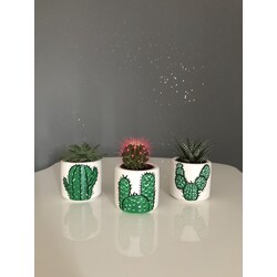 Kaktüs Desen Set