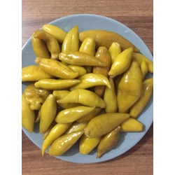 BALIK BİBER TURŞUSU 2 KG