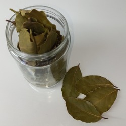 Defne Yaprağı (50 gr)