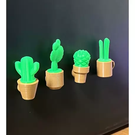 Mini Saksılı Bitkiler Mıknatıslı Buzdolabı Süsü