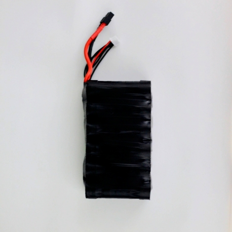 SHAH 6S2P Battery Pack