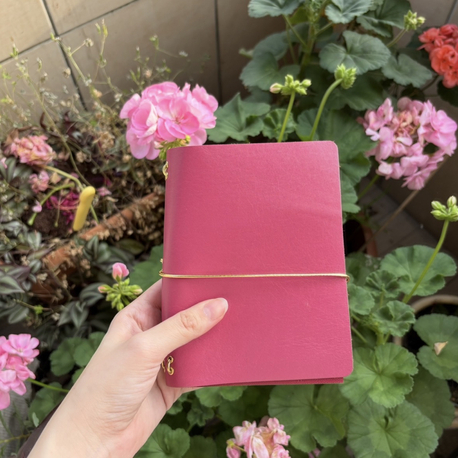A6 Pembe Travelers