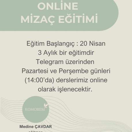 online mizaç ve burçlar eğitimi ( canlı) 