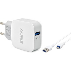 Auris Qualcomm 3.0 Hızlı Şarj Cihazı 3A 15W + Micro USB Kablo