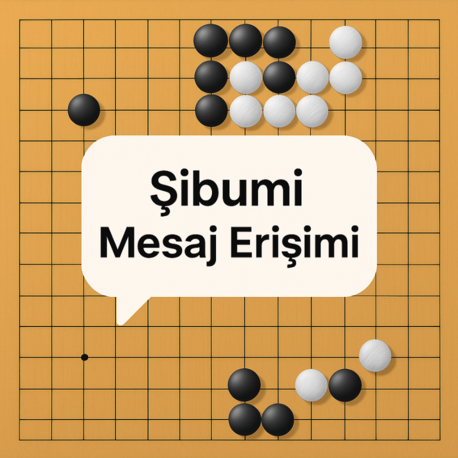 Mesaj Desteği (1 Ay)