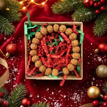 Rudraksha (Radruska) Tohumu Bileklik 