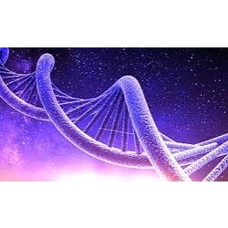 Theta Healing 4 modül Eğitim paketi