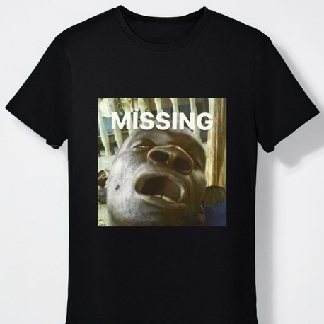 MISSING 