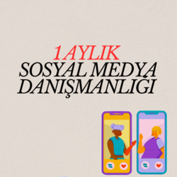 1 AYLIK BİREBİR SOSYAL MEDYA DANIŞMANLIĞI 