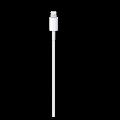 USB-C - Lightning Kablosu (1m)