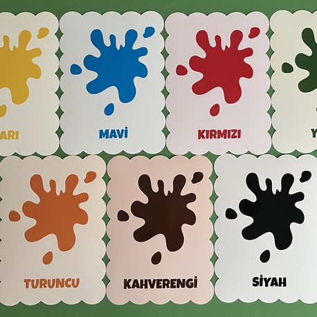 Pötibör Kesim Renkler
