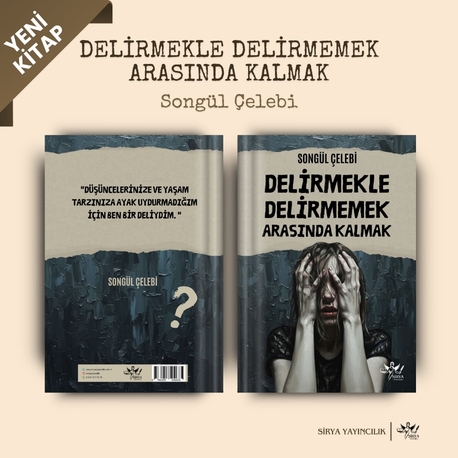 DELİRMEKLE DELİRMEMEK ARASINDA KALMAK / Songül Çelebi 