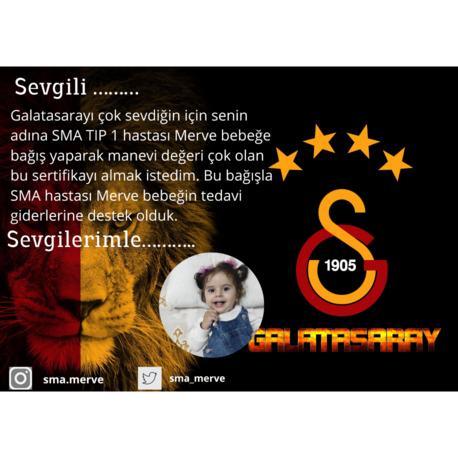 GALATASARAY TARAFTAR KARTI