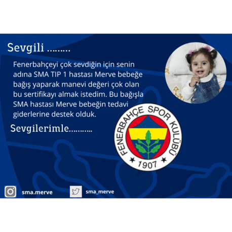 FENERBAHÇE TARAFTAR KARTI