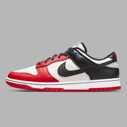 NIKE DUNK LOW RETRO EMB "NBA 75th Anniversary - Chicago Bulls"