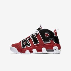 Nike Air More Uptempo Bulls Hoops Pack