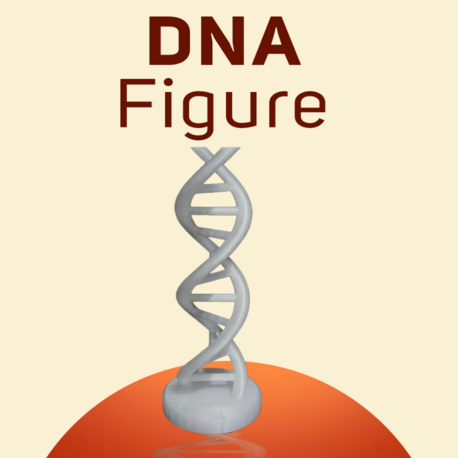 DNA Sarmalı Figürü - Bilim ve Estetiğin Buluşması