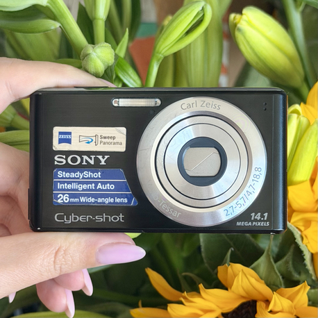 Sony Cybershot DSC W530