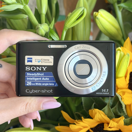 Sony Cybershot DSC W530