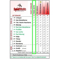 P1 - TEMEL SEVİYE (20 saat)