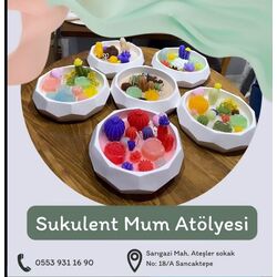 Sukulent Mum Yapımı Workshop 