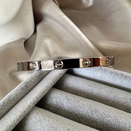 Crtier marka çelik silver taşlı mini 6 mm kelepçe