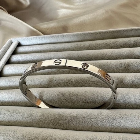 Crtier marka çelik silver taşlı 6 mm kelepçe