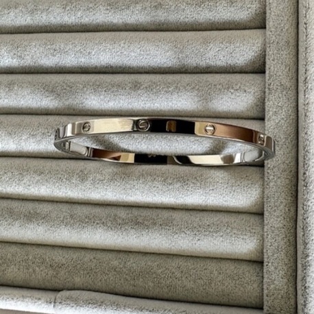 Crtier marka çelik silver 4 mm mini kelepçe