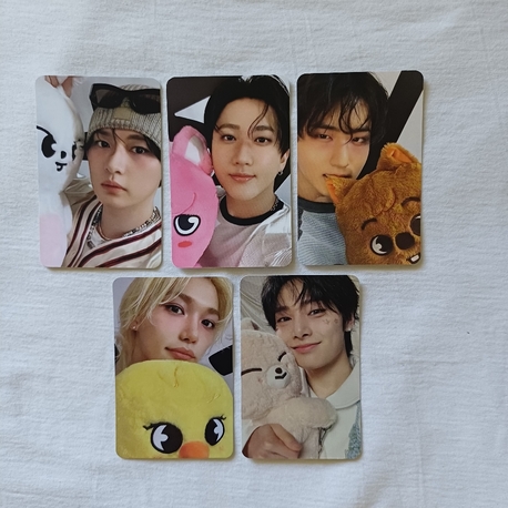 Stray Kids dominATE Celebrate Photocard 