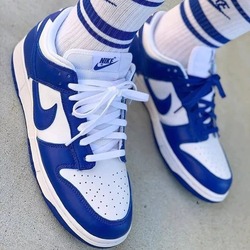 Nike Dunk Low Royal Blue