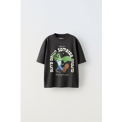 Zara minecraft takım