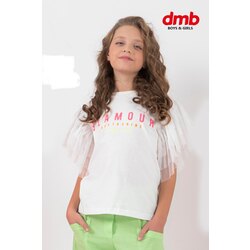 Dmb takım