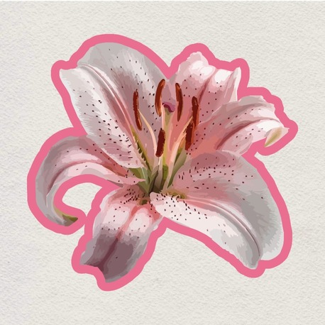 blushing lily sticker