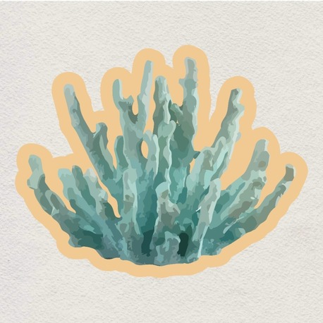 blue coral sticker