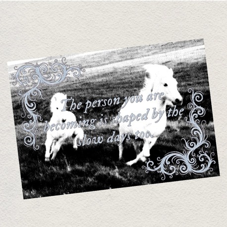 slow days postcard