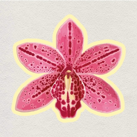 orchid crush  sticker