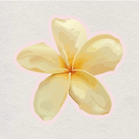 honey bloom sticker