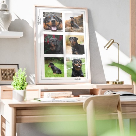 Kişiye Özel Pet Kolaj Tablo | Minimal Köpek Tablosu | Fotoğraflı Evcil Hayvan Tablo